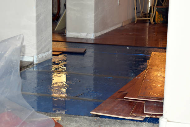 Professional Basement Flood Cleanup technician working in Cascade, IA